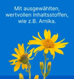 Traumeel Lt vet. 50 X 5 ml Ampullen