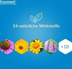 Traumeel S Creme 100 g