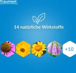 Traumeel S Gel 100g