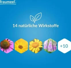 Traumeel S 250 Tabletten
