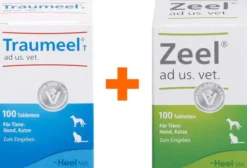 Traumeel T Vet. 100 Tabletten + Zeel ad us. vet. 100 Tabletten