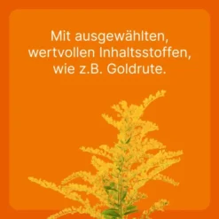 Ubichinon Compositum ad us.vet. 100 Ampullen