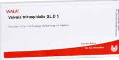Valvula Tricuspidalis Gl D 5 Ampullen