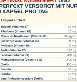 Vitamin B complete Hevert all-in-one 120 Kapseln