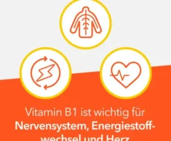 Vitamin B1 Ratiopharm 100 Tabletten