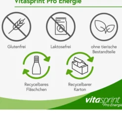 Vitasprint Pro Energie 24 Fläschchen