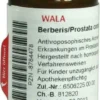 Wala Berberis Prostata Comp. 20 G Globuli