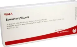 Wala Equisetum Viscum 10 X 1 ml Ampullen