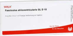 Wala Fasciculus Atrioventricularis Gl D15 10 X 1 ml Ampullen
