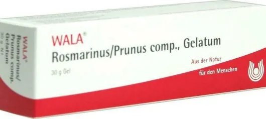 Wala Rosmarinus Prunus Comp. Gelatum 30 G Salbe