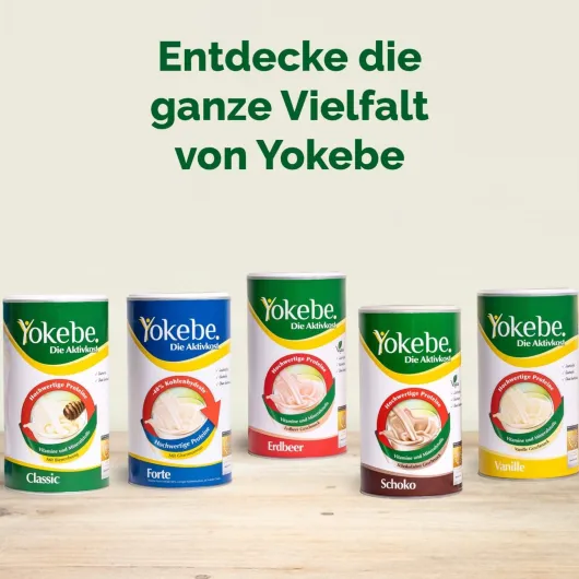 Yokebe Forte NF2024 Pulver DE 500 g Pulver