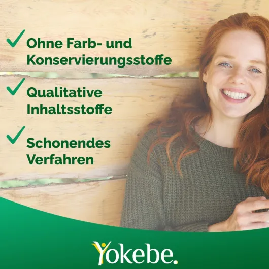 Yokebe Forte NF2024 Pulver DE 500 g Pulver