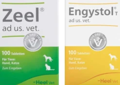 Zeel ad us. vet. 100 Tabletten + Engystol T ad us. vet. 100 Tabletten