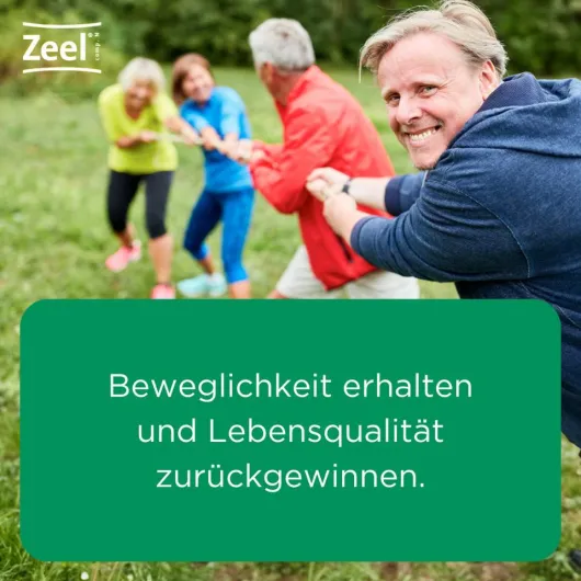 Zeel comp N 100 Tabletten