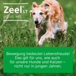 Zeel Lt Ad Us.Vet. 500 Tabletten