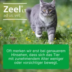 Zeel Lt Ad Us.Vet. 500 Tabletten