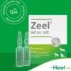 Zeel vet. 5 X 5 ml Ampullen