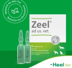 Zeel vet. 5 X 5 ml Ampullen