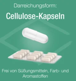 Zink Verla C purKaps 60 Kapseln
